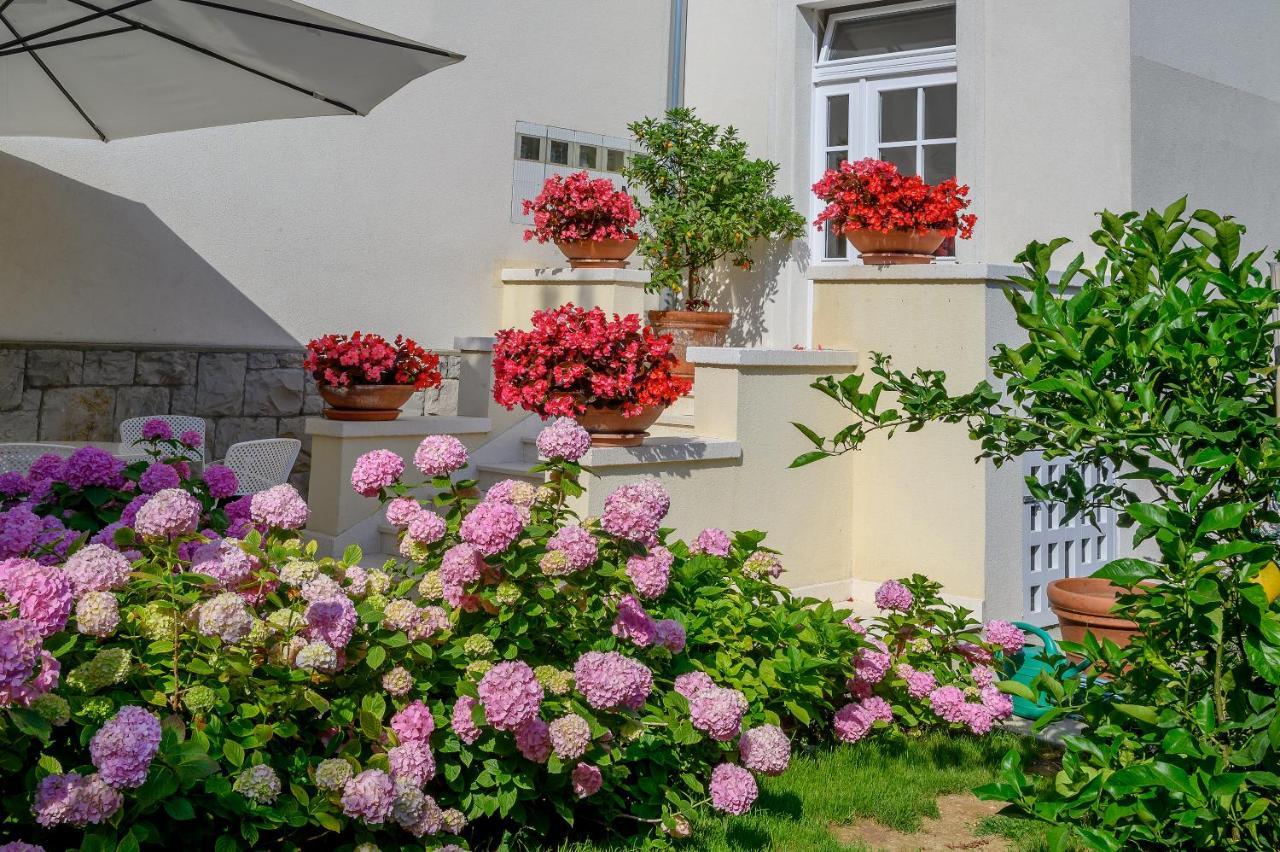 Palace Schoen Milesi - Esense Of Prestige - Private Pool - Free Parking - Old Money Style Luxury Rooms - Walking Distance To The Old Town, The Beach And All Amenities - Buralux Properties Split Bagian luar foto